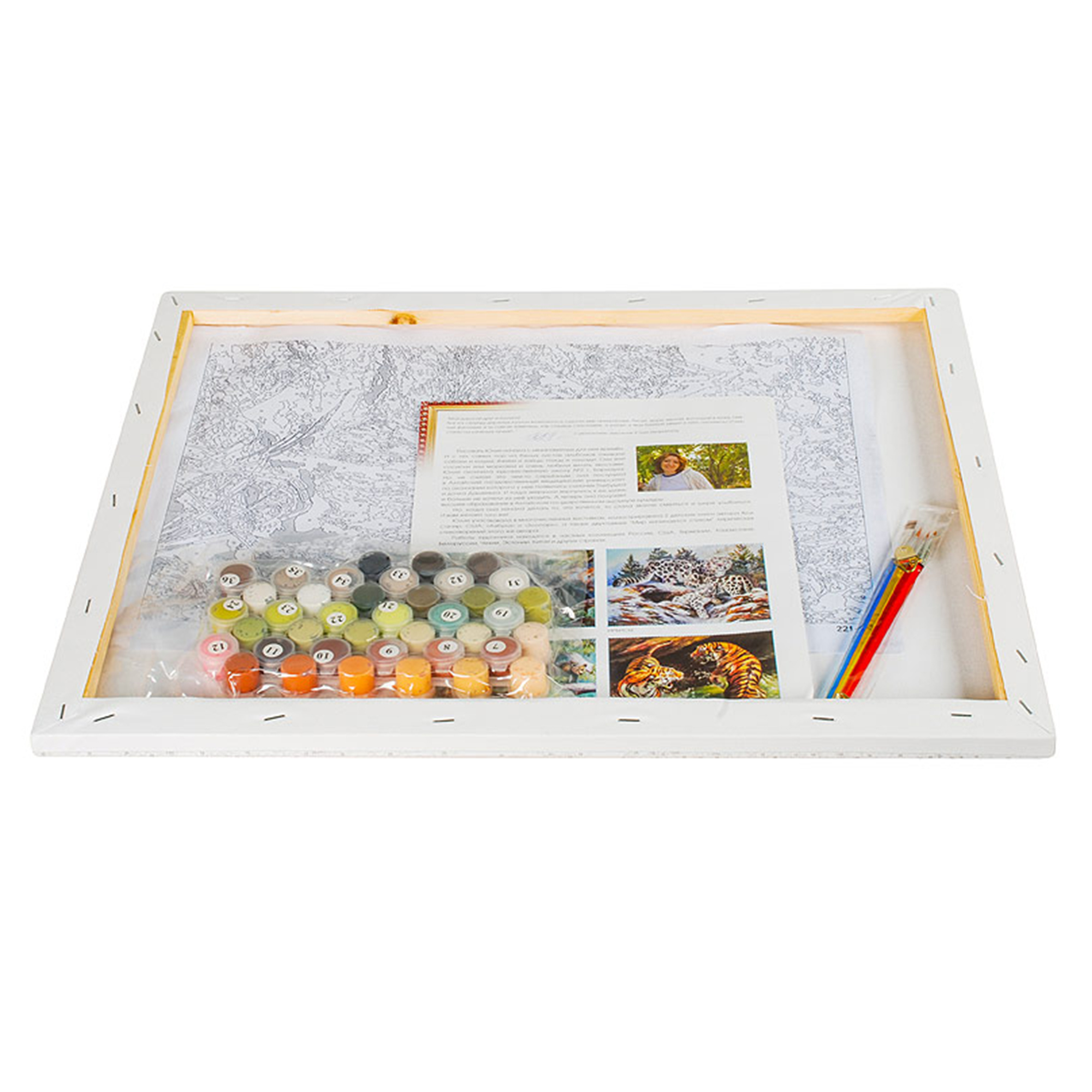 фото Набор для творчества белоснежка "живопись на холсте" подмосковье