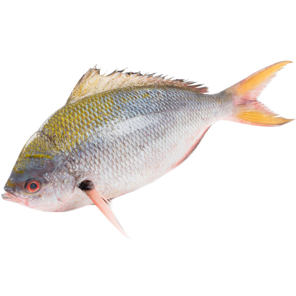 Цезий желтоспинный La Maree охлажденный
Цезий желтоспинный La Maree охлажденный