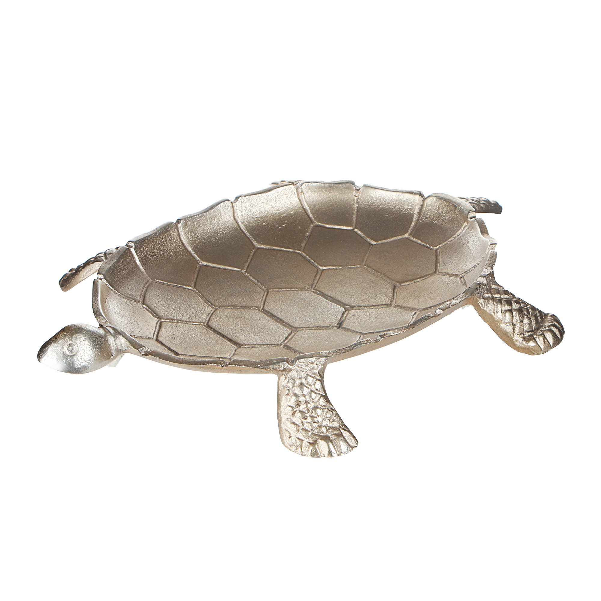 фото Тарелка декоративная edelman черепаха 43x13 см