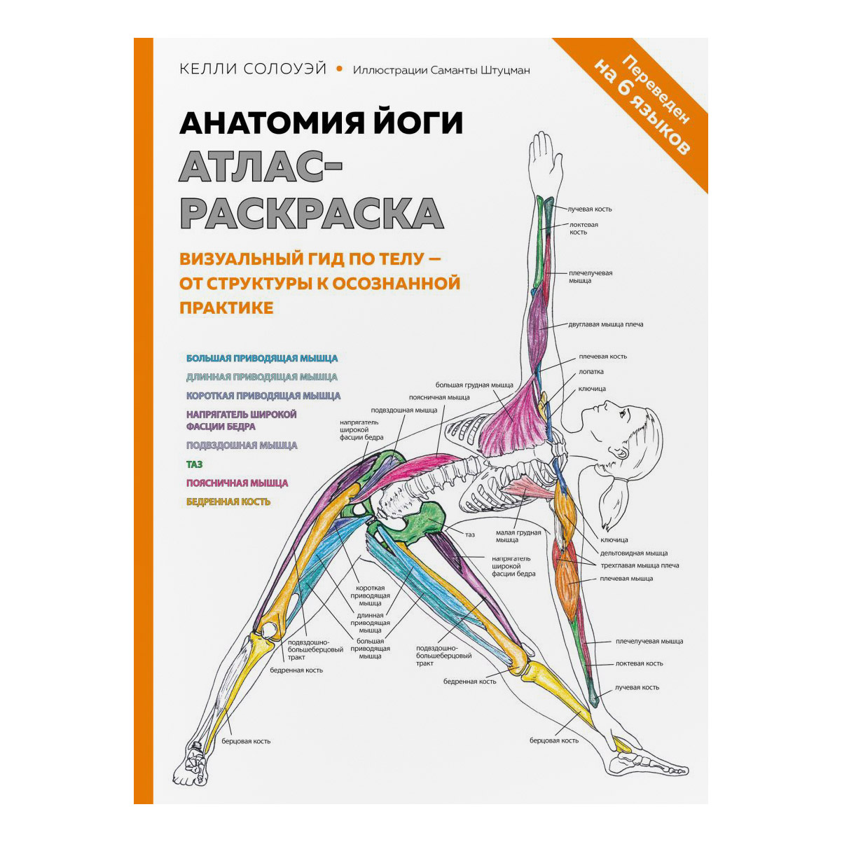 фото Книга эксмо анатомия йоги: атлас-раскраска
