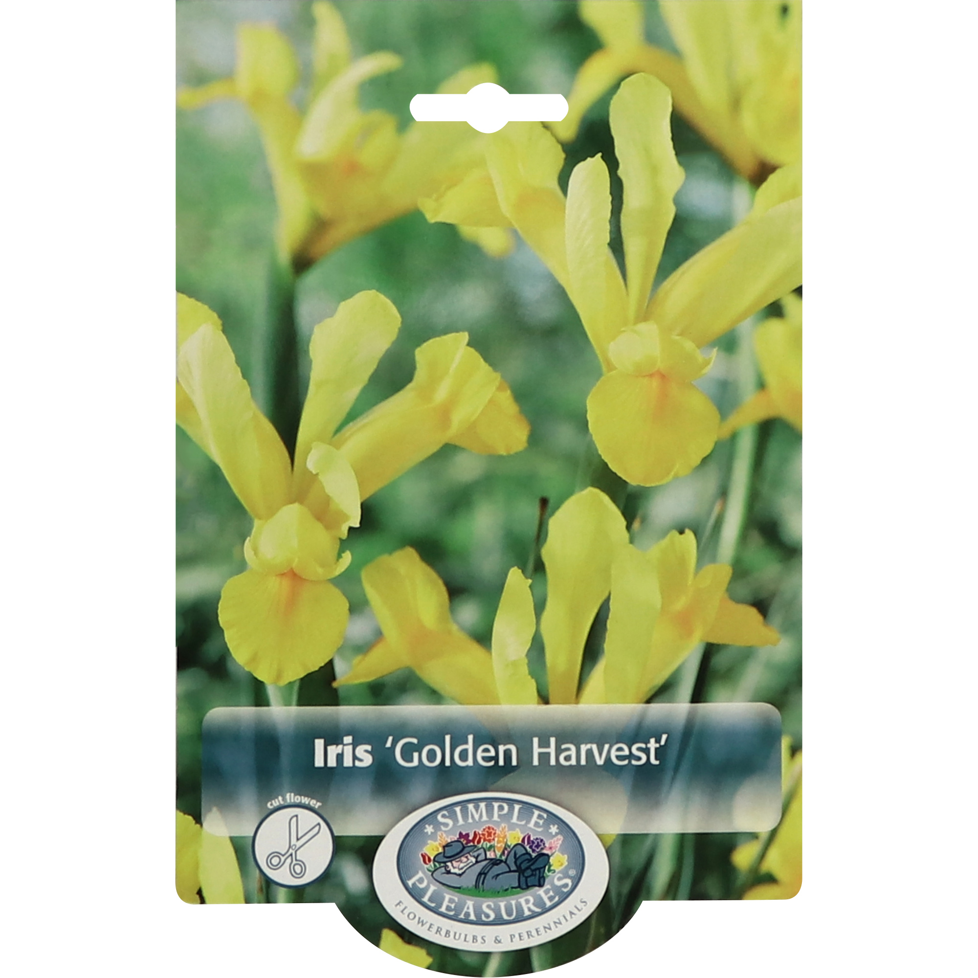 Ирис Simple Pleasures Golden Harvest 10 шт, Желтый
Ирис Simple Pleasures Golden Harvest 10 шт, Желтый