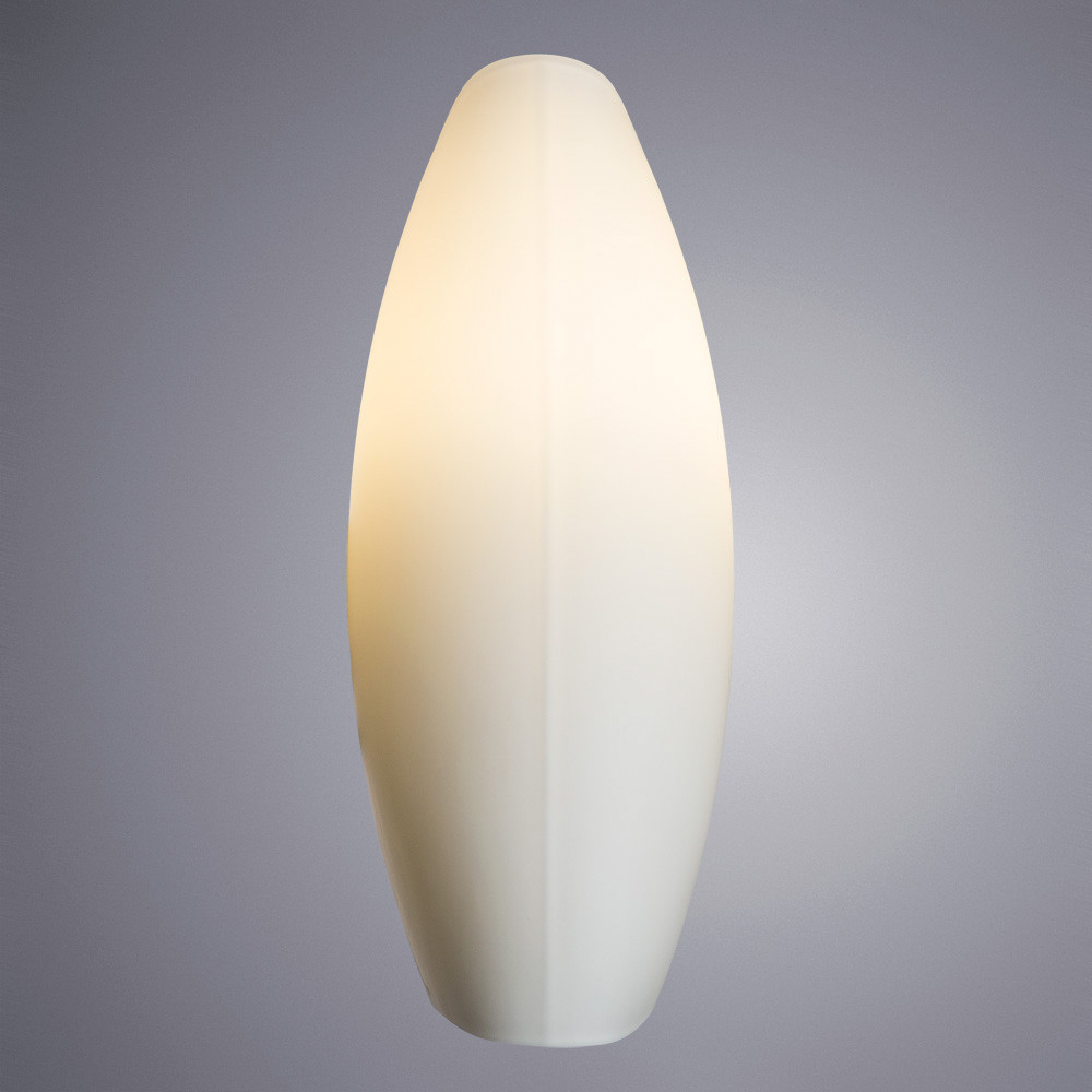 Настенный светильник Arte Lamp Aqua A6940AP-1WH Вид№2