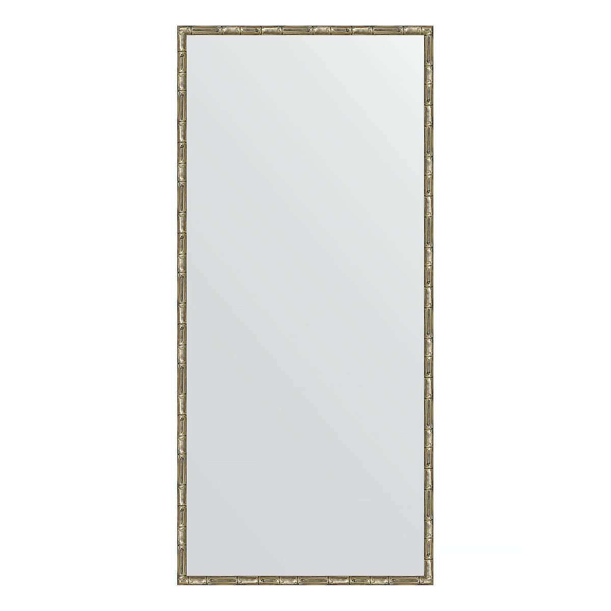 Зеркало в багетной раме Evoform серебряный бамбук 24 мм 67х147 см