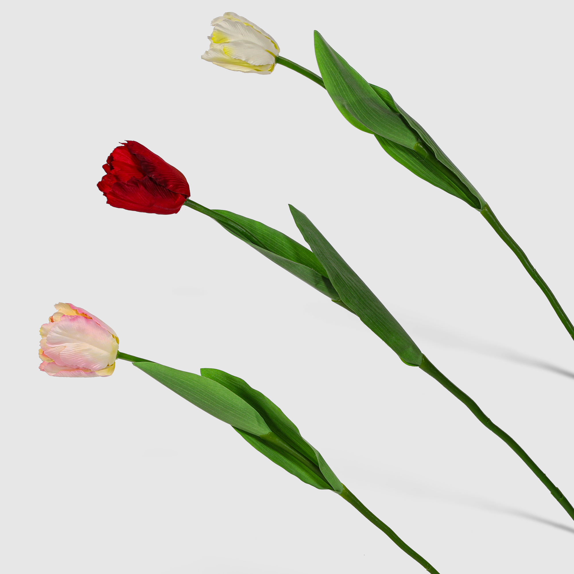 Тюльпан Конэко-О 34913 в ассортименте тюльпан триумф арабиан бьюти