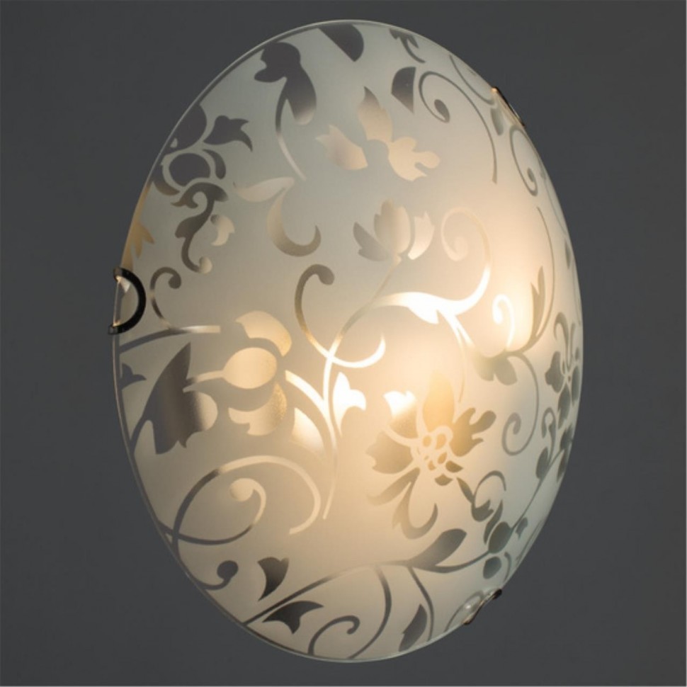 Настенно-потолочный светильник Arte Lamp Ornament A4120PL-2CC, цвет белый - фото 2