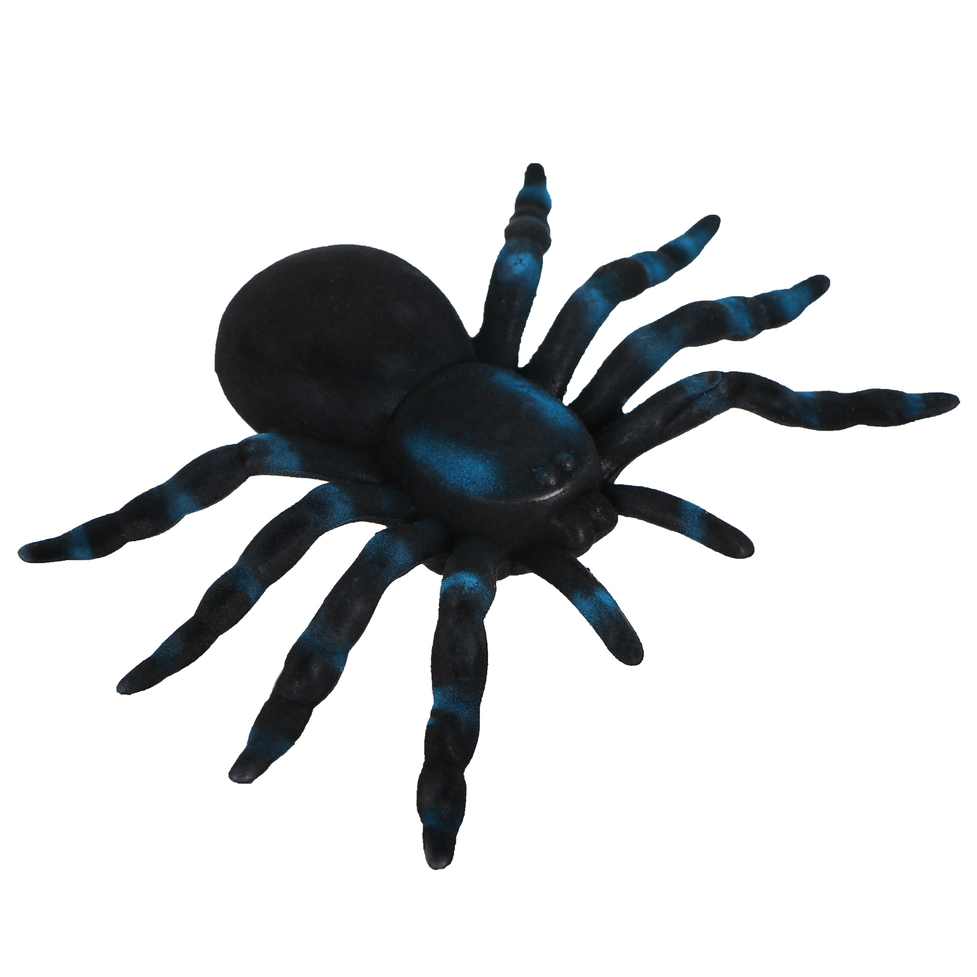 

Пауки бархатные черные long cheng yiwu city, Черный