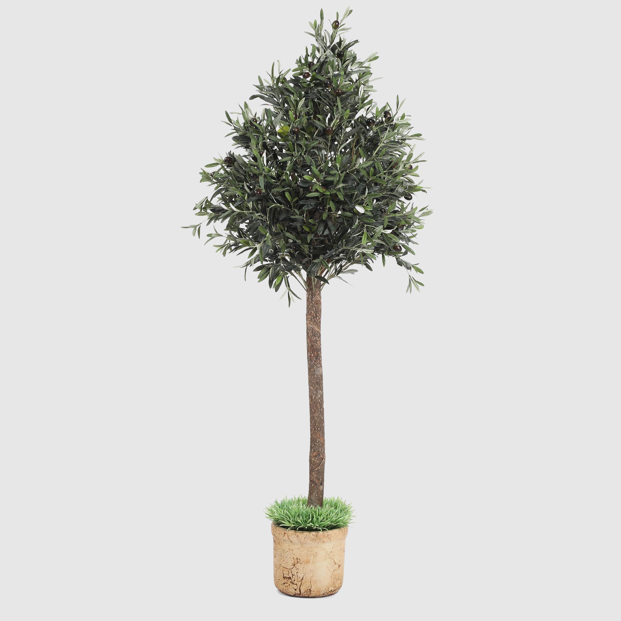 Дерево оливковое Конэко-О 150 см