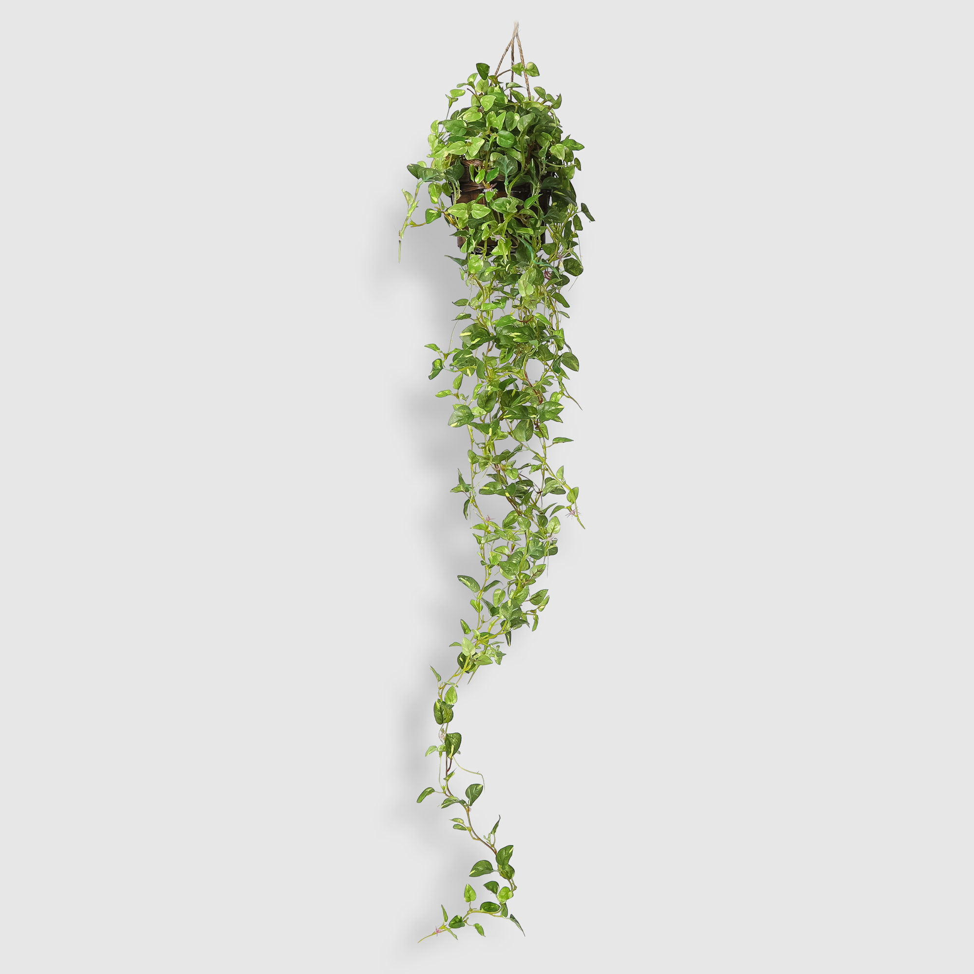 Лиана в кашпо Конэко-О-6515 80 см растение искусственное dekor pap с ами 12x12x28 см