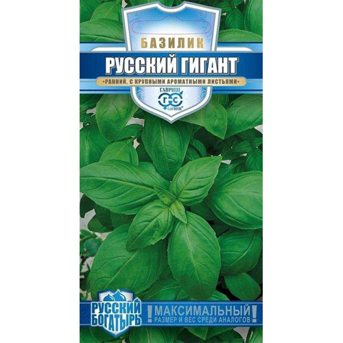 Базилик Гавриш Русский гигант, зеленый 0,1 г серия Русский богатырь семена пряных трав базилик балконное чудо