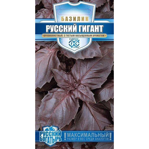 Базилик Гавриш Русский гигант, фиолетовый 0,1 г серия Русский богатырь щавель богатырь premium seeds