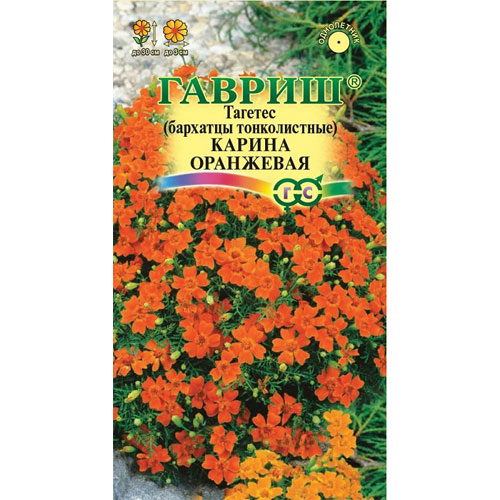 Бархатцы тонколистные Гавриш Карина оранжевая (Тагетес) 0,05 г DH бархатцы отклоненные лемон дроп 0 1 гр