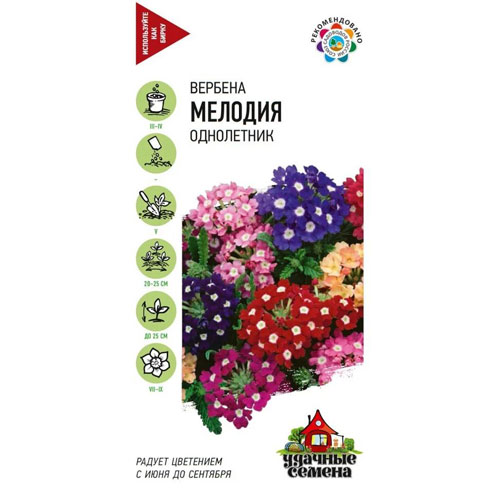 Вербена Гавриш Мелодия, гибридная (смесь) 0,05 г Удачные семена DHп