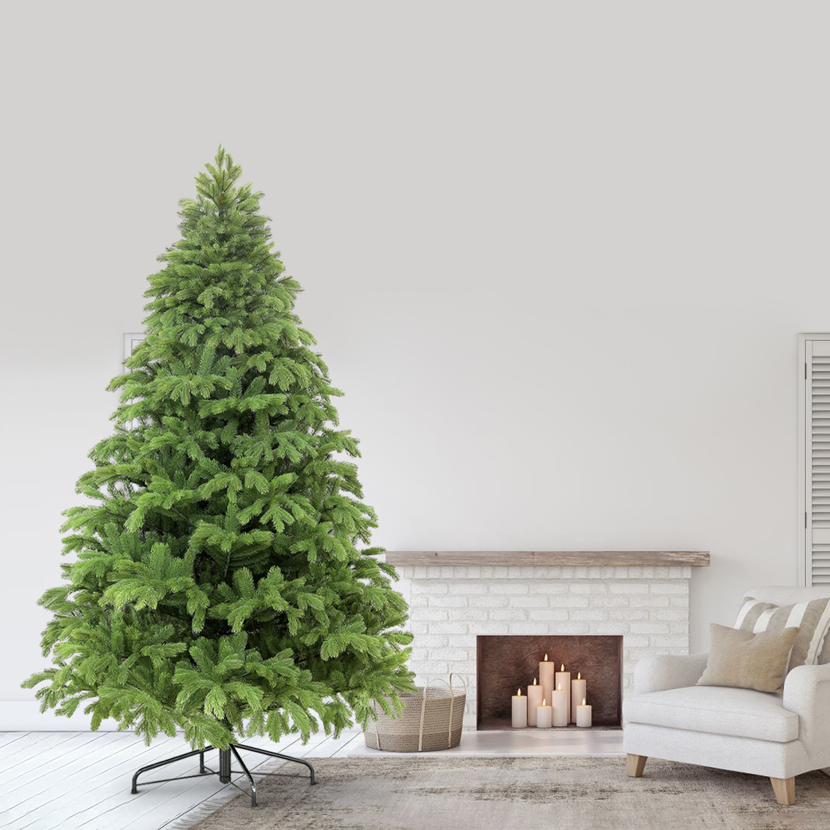 царь елка ель северное сияние 1. 1. царь елка северное сияние 180. 25. 8.