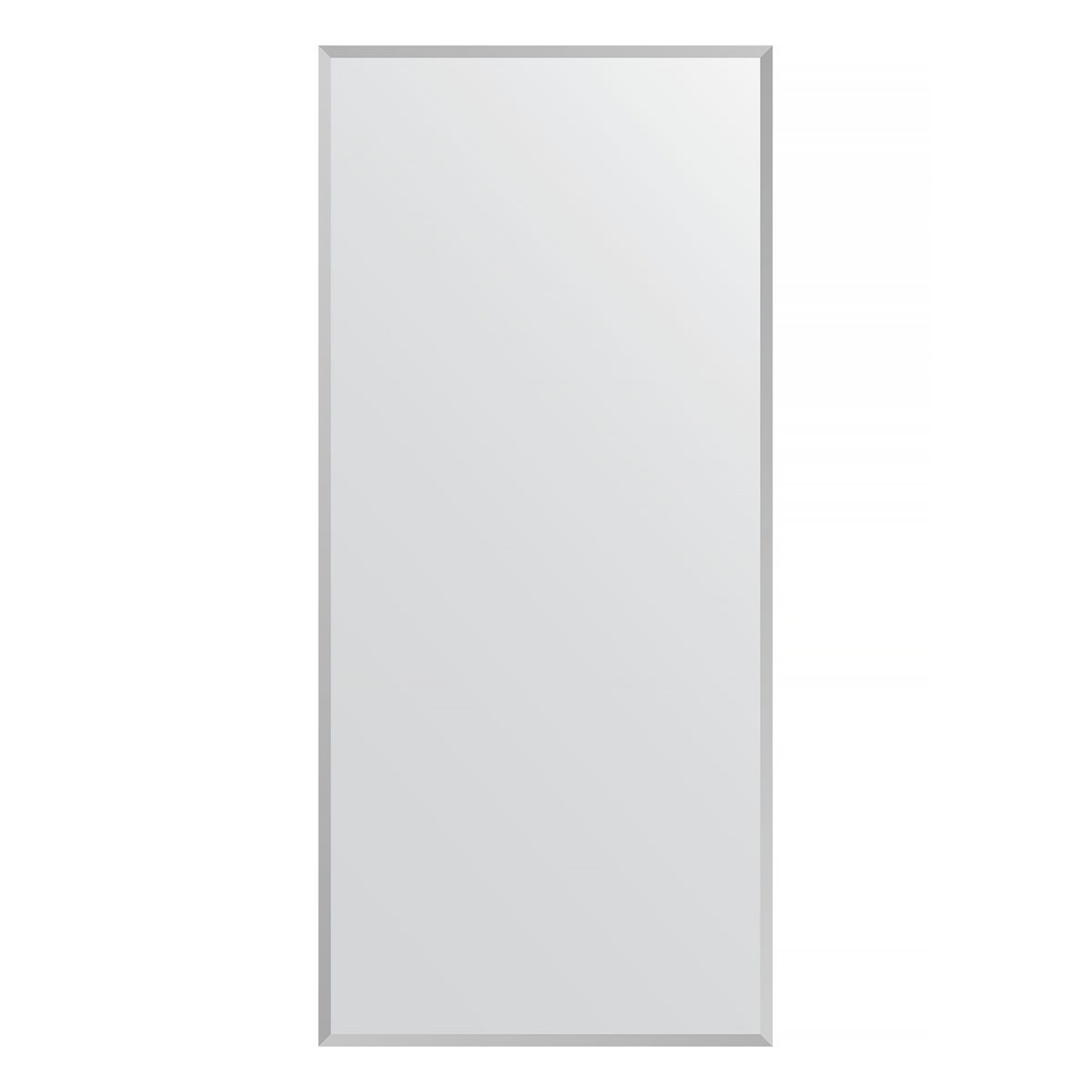 Зеркало в багетной раме Evoform хром 18 мм 66х146 см