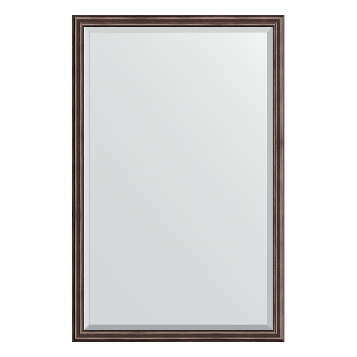 Зеркало с фацетом в багетной раме Evoform палисандр 62 мм 111х171 см