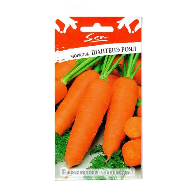 Морковь Русский огород шантенэ роял 2 г морковь шантане роял гранулы 300