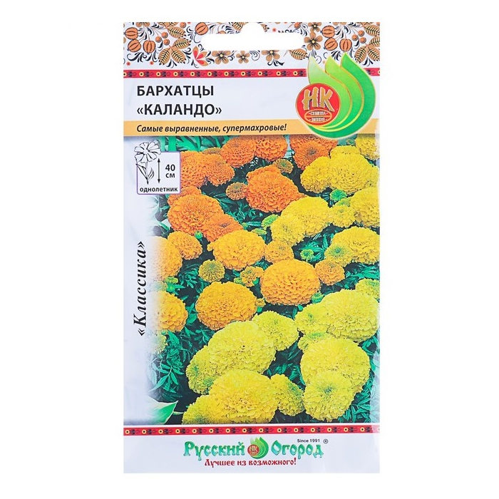 Бархатцы Синие Купить Семена