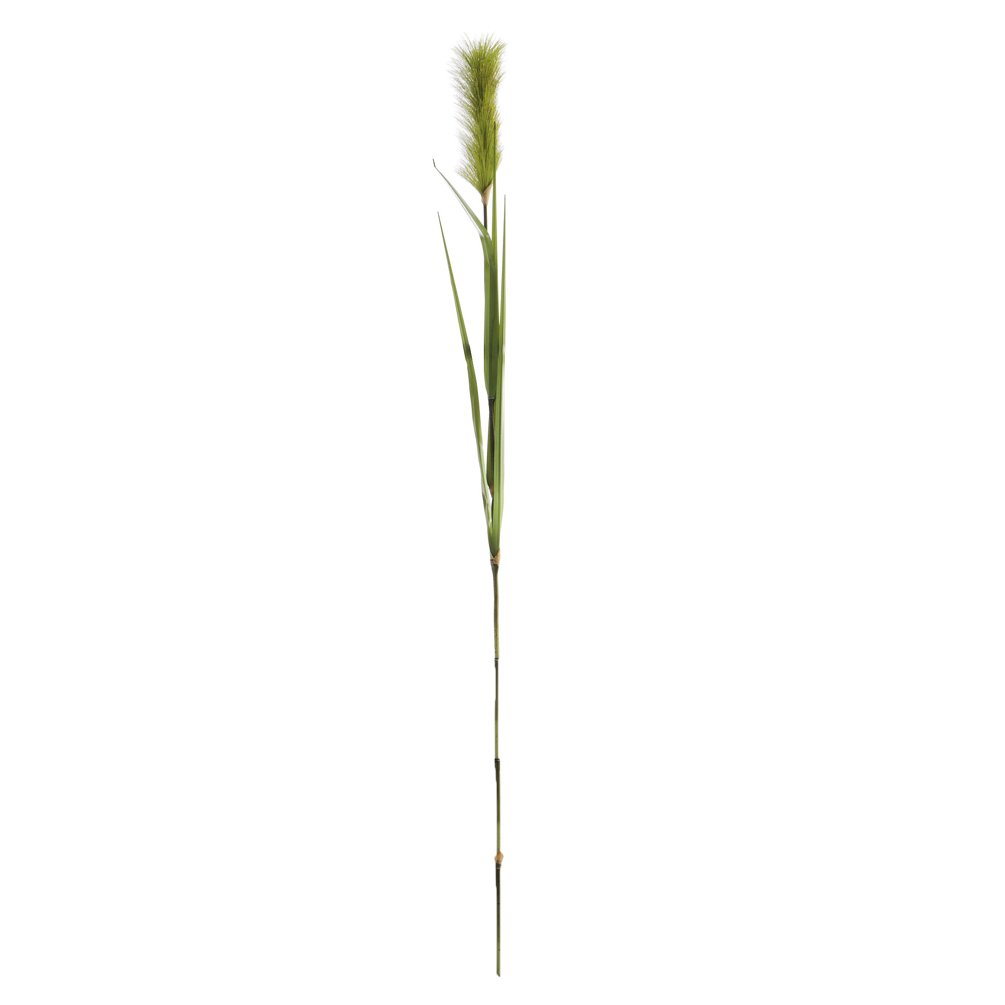 Цветок искусственный Shandong Hr Arts Лисохвост  147 см зеленый куст фикуса конэко о искусственный зеленый 80 см кашпо 14х18х12 см 3 куста