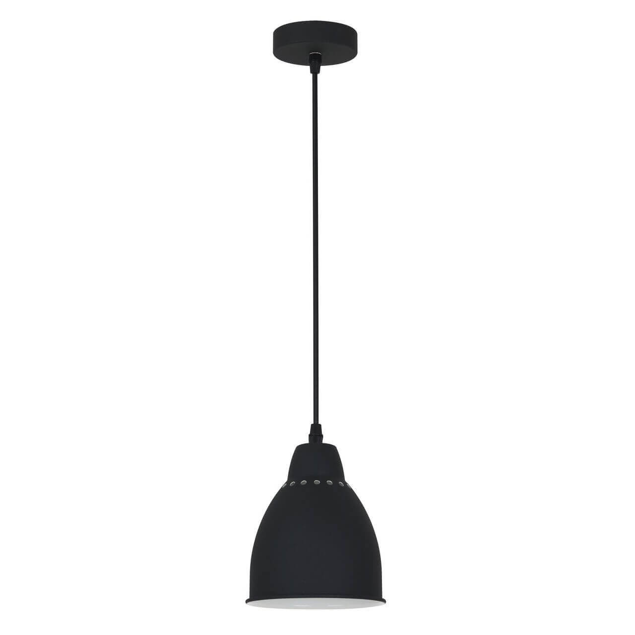 Светильник подвесной Artelamp A2054SP-1BK, цвет черный - фото 1