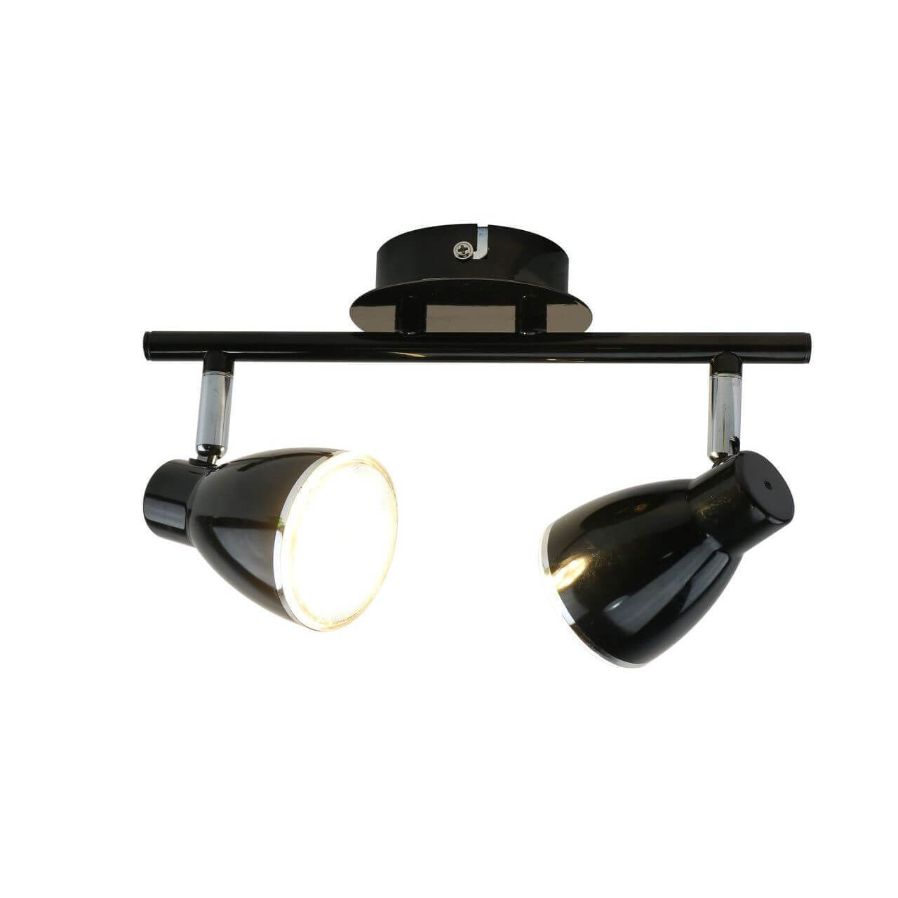 фото Светильник потолочный artelamp a6008pl-2bk arte lamp