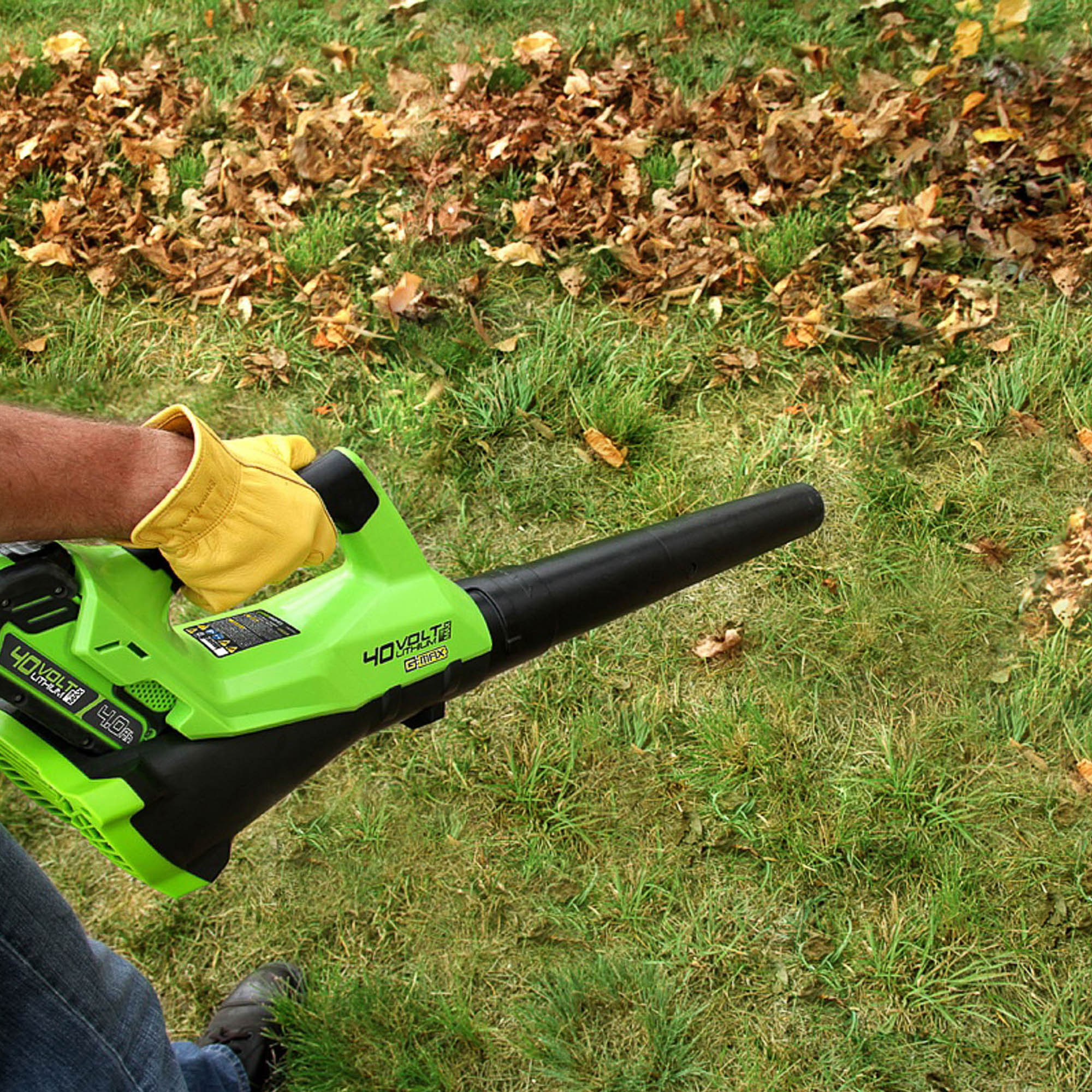 Leaf Blower Pussy