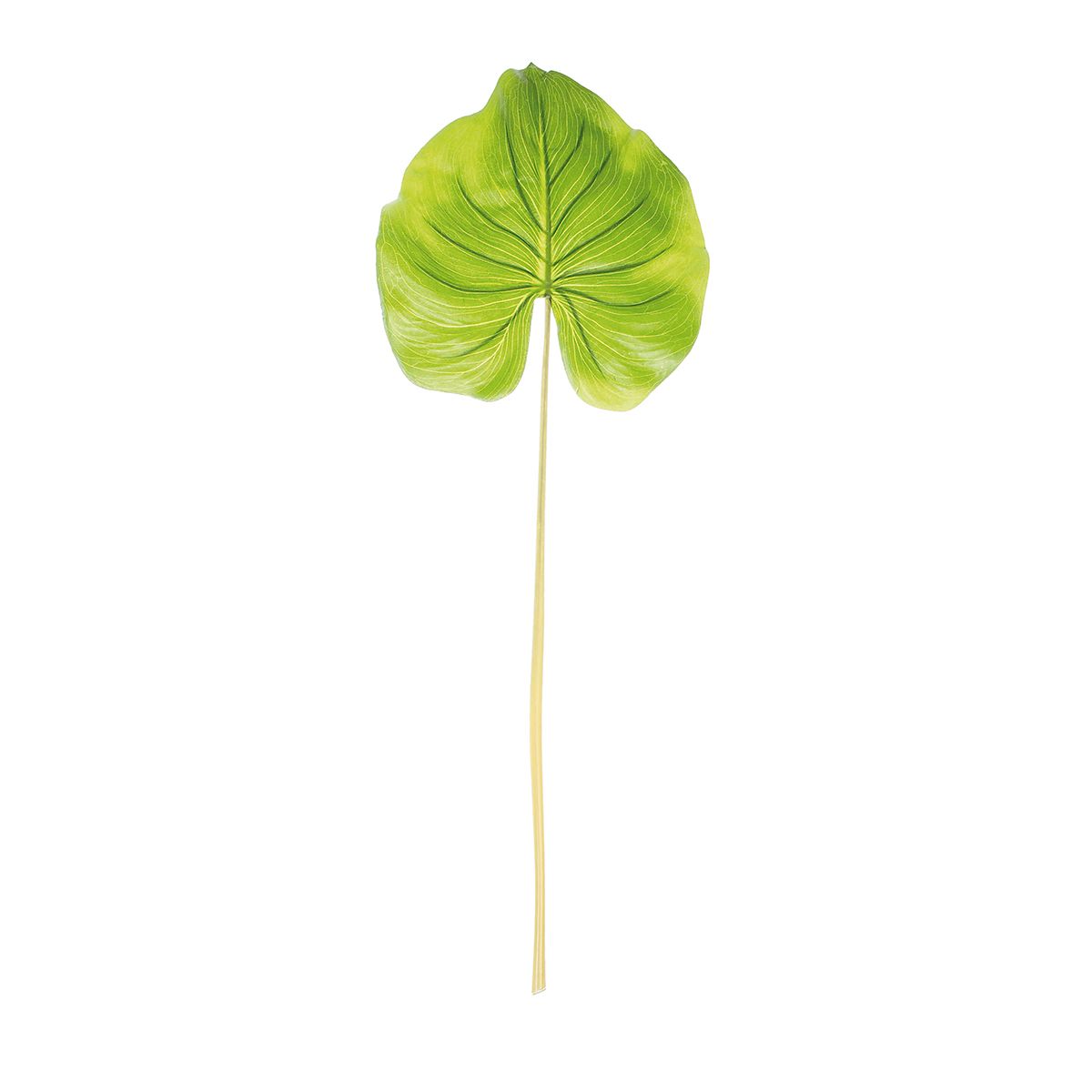 Искусственное растение Riverdale Лист алоказии зеленый 85см