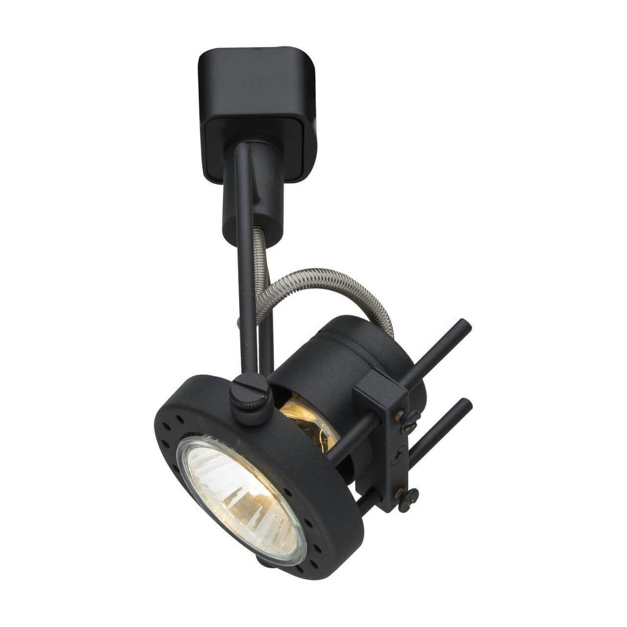 фото Светильник потолочный artelamp a4300pl-1bk arte lamp