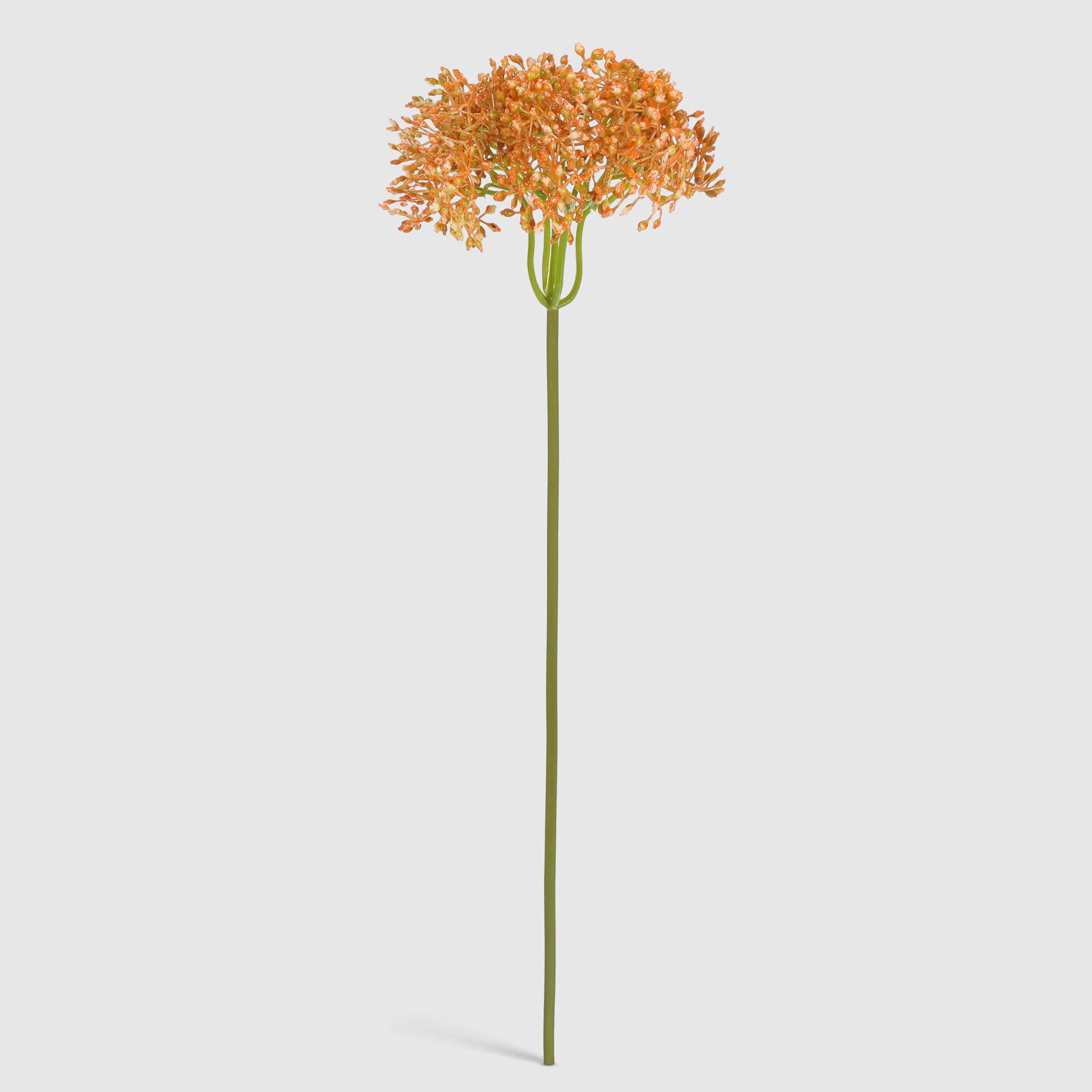 Укроп цветущий Конэко-О 34518 OR 45 см укроп ущий конэко о 34518 pp 45 см в ассортименте