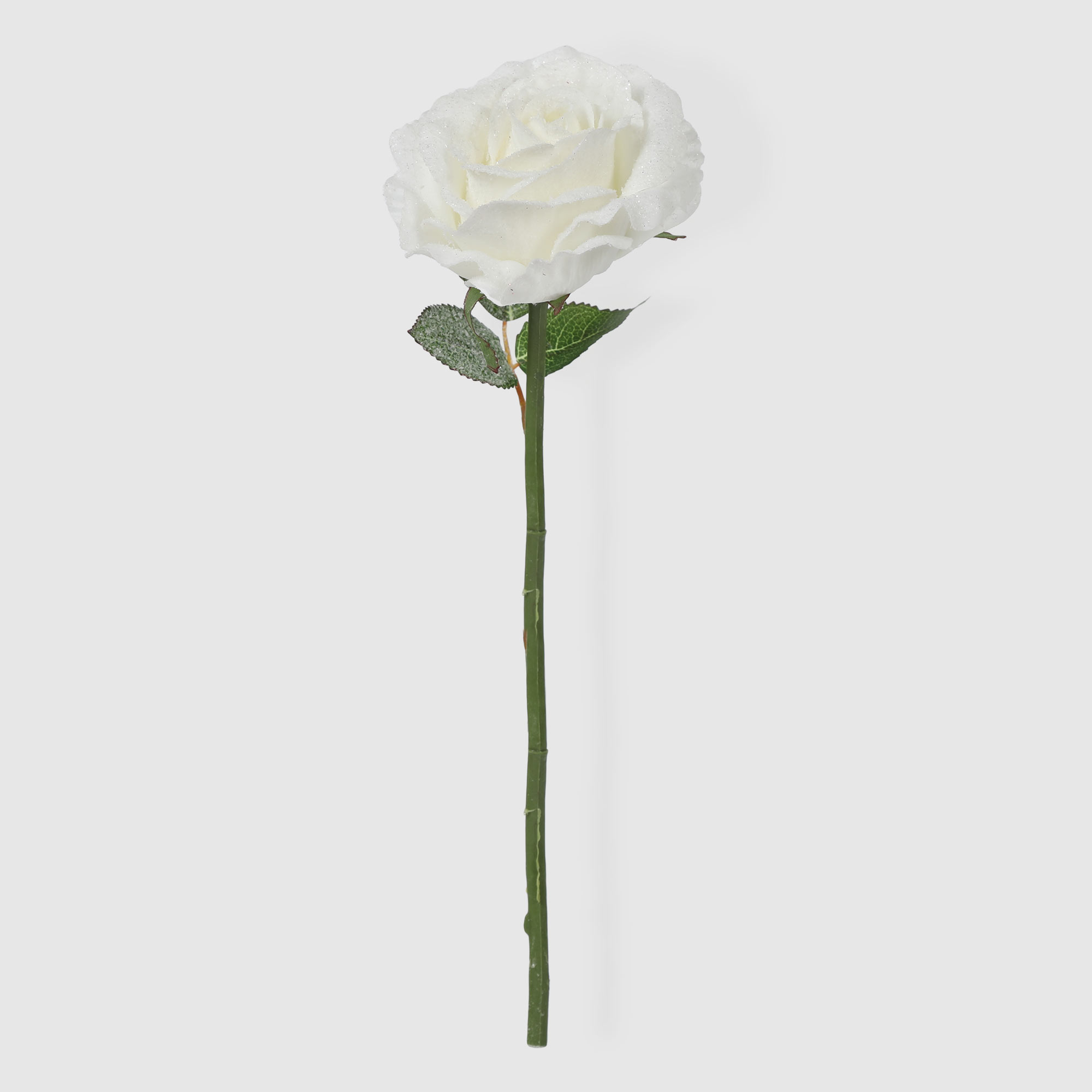 Роза Конэко-О-14718 30 см
