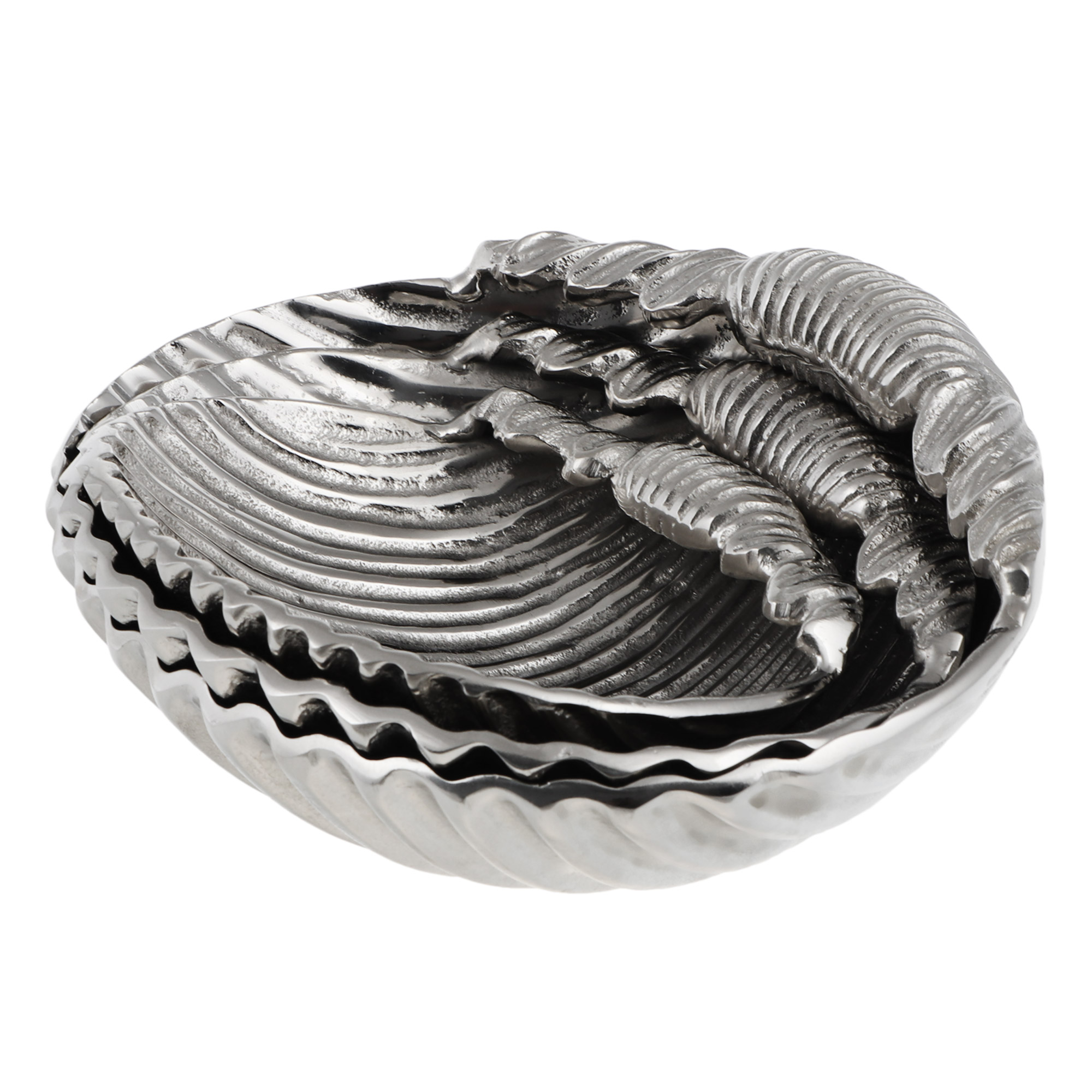 Набор декоративный раковины морские 3 шт Universal ark shell