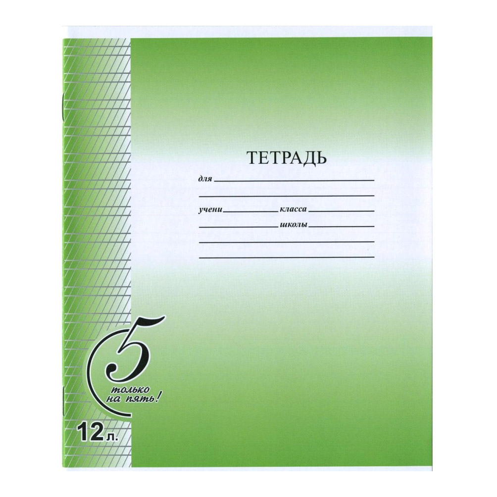 

Тетрадь "Только на пять!" а5 12 листов в линейку