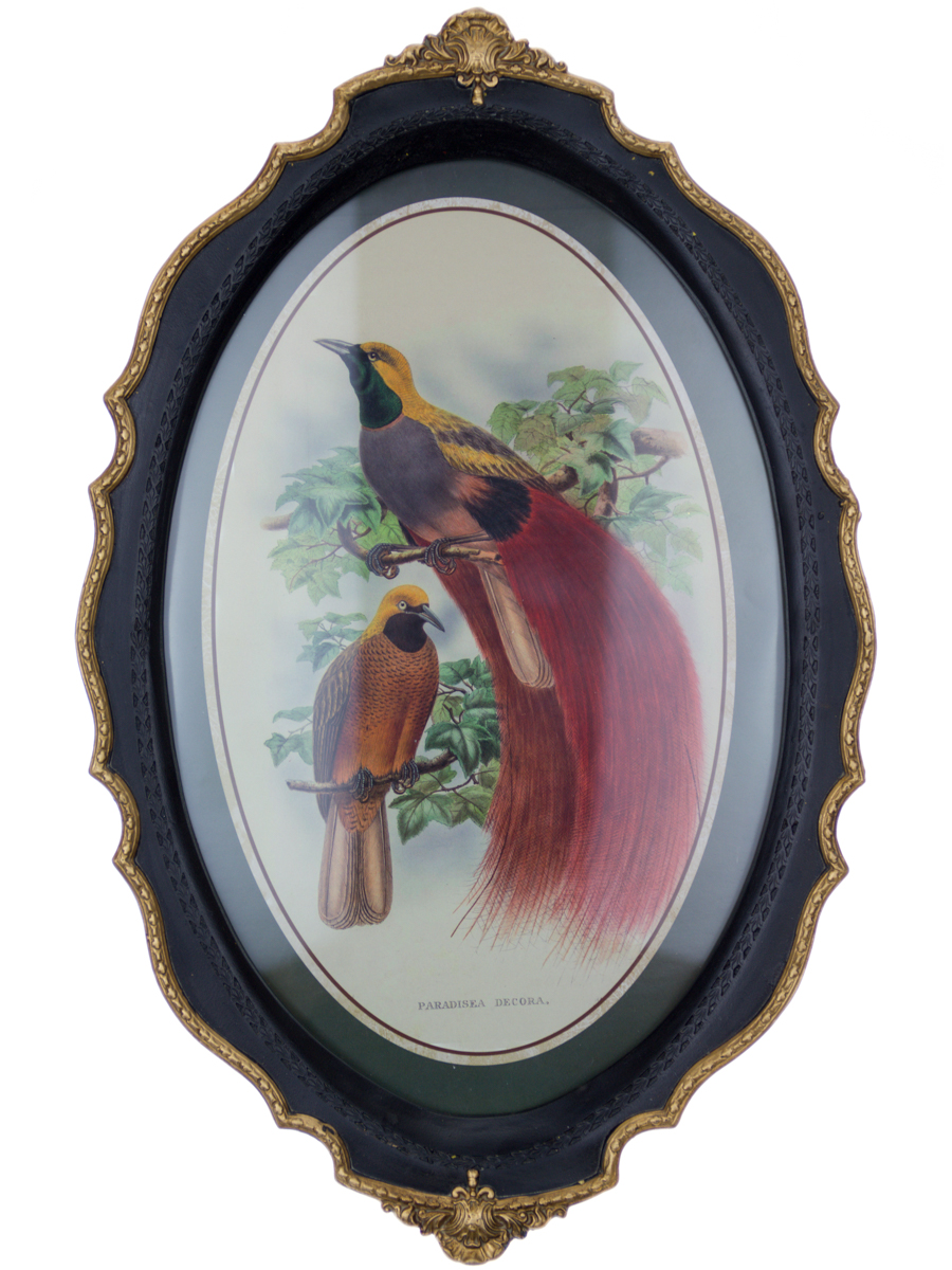 Панно Glasar в овальной резной раме две птицы, 39x24x3 см гипсовое 3д панно artpole