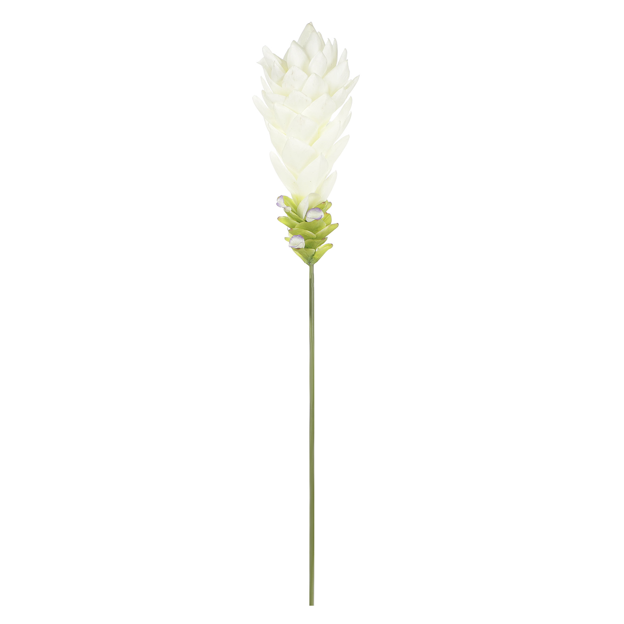 Цветок искусственный Fuzhou Light Имбирь белый 95 см бальзам имбирь и зеленый чай 500 мл