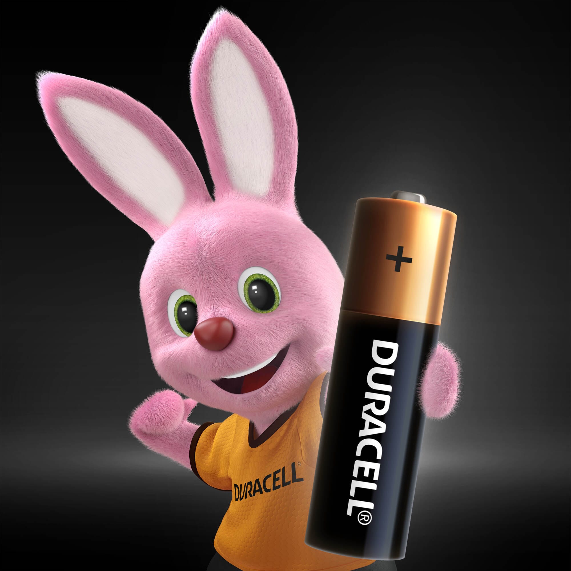 фото Батарейки duracell аа 1,5в 6 шт