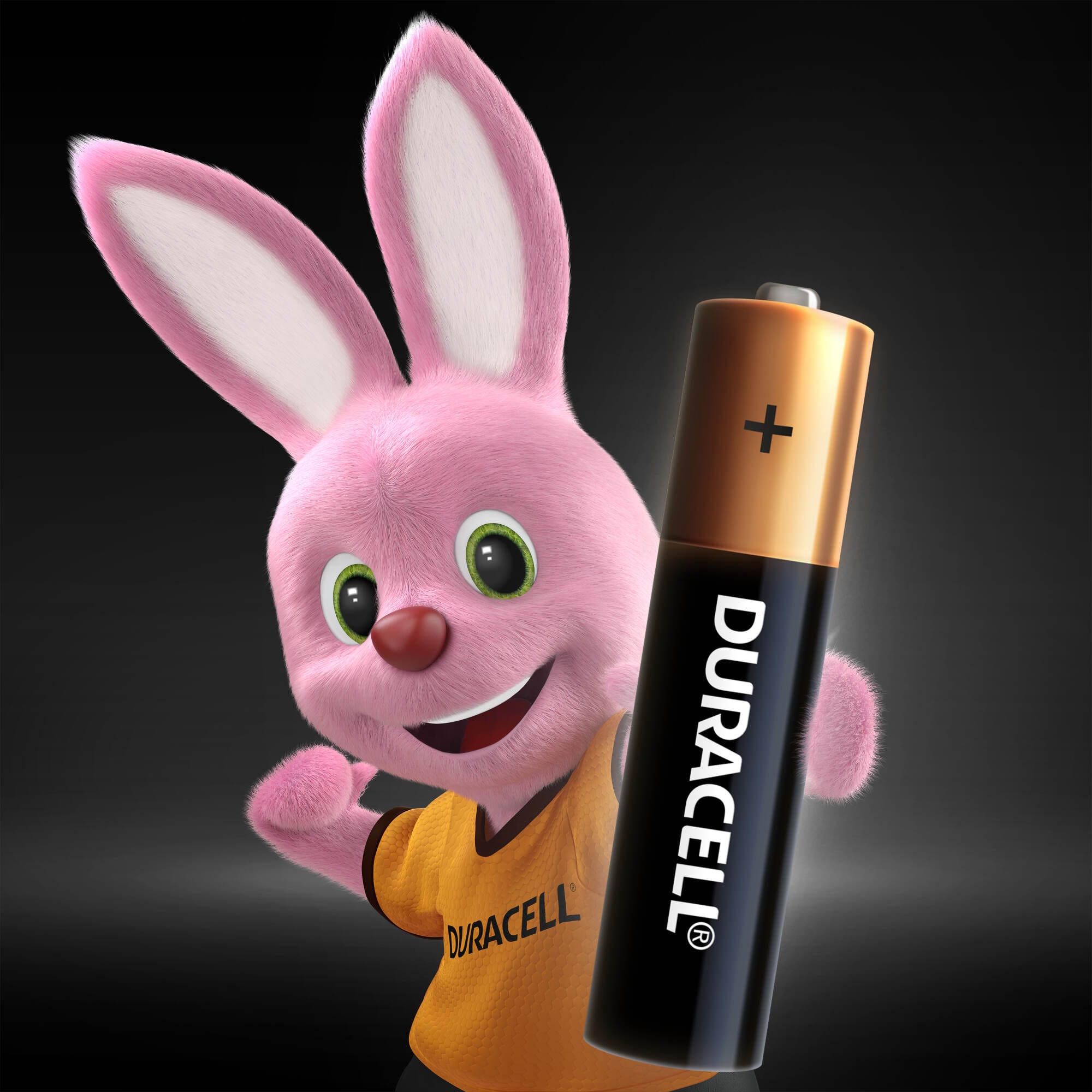 фото Батарейки duracell aaa 1,5в 8 шт