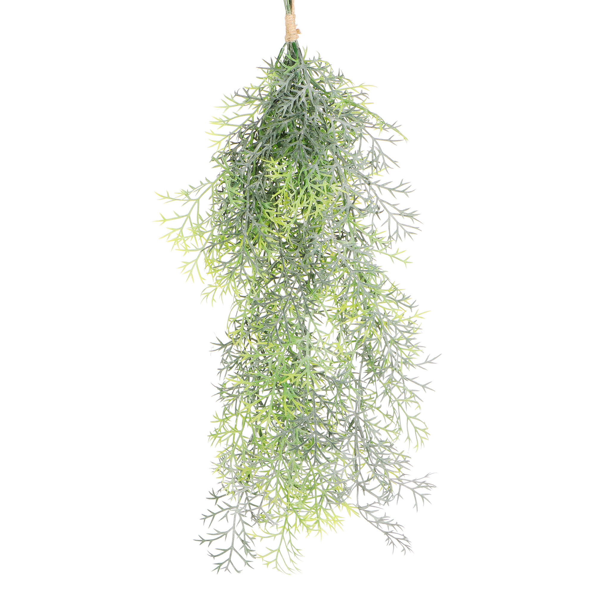 фото Растение искусственное конэко-о аспарагус ампельный 57 см