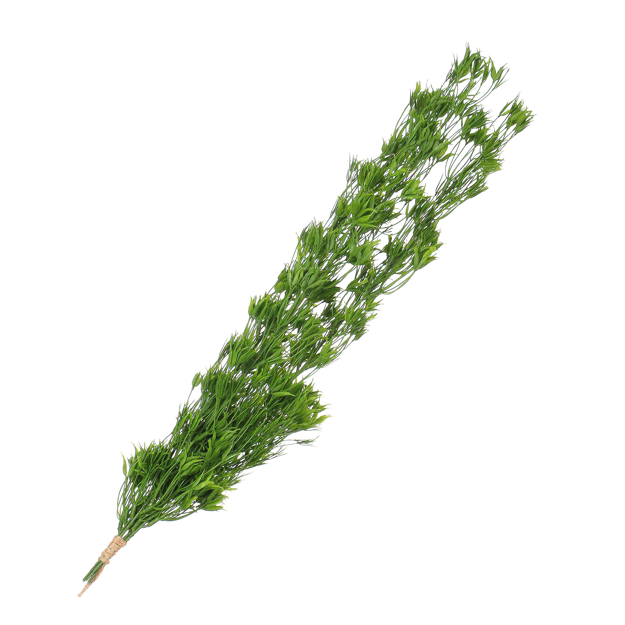 Зелень ампельная 50 см Конэко-о искусственное растение церопегия конэко о ампельная 90 см