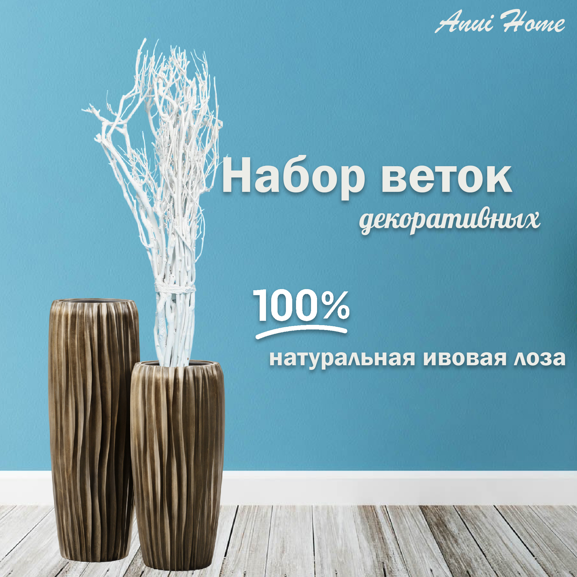 Набор веток Anui Home Ива 70 см Вид№2