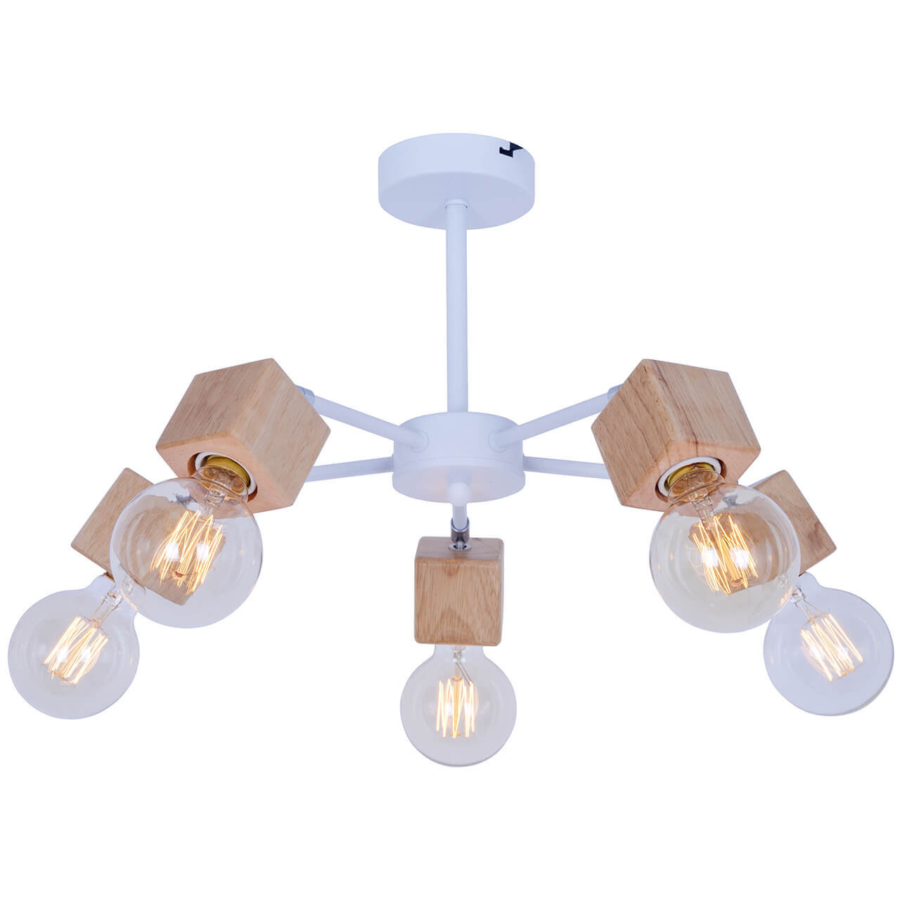 

Люстра потолочная Toplight Alisha TL1197X-05AB