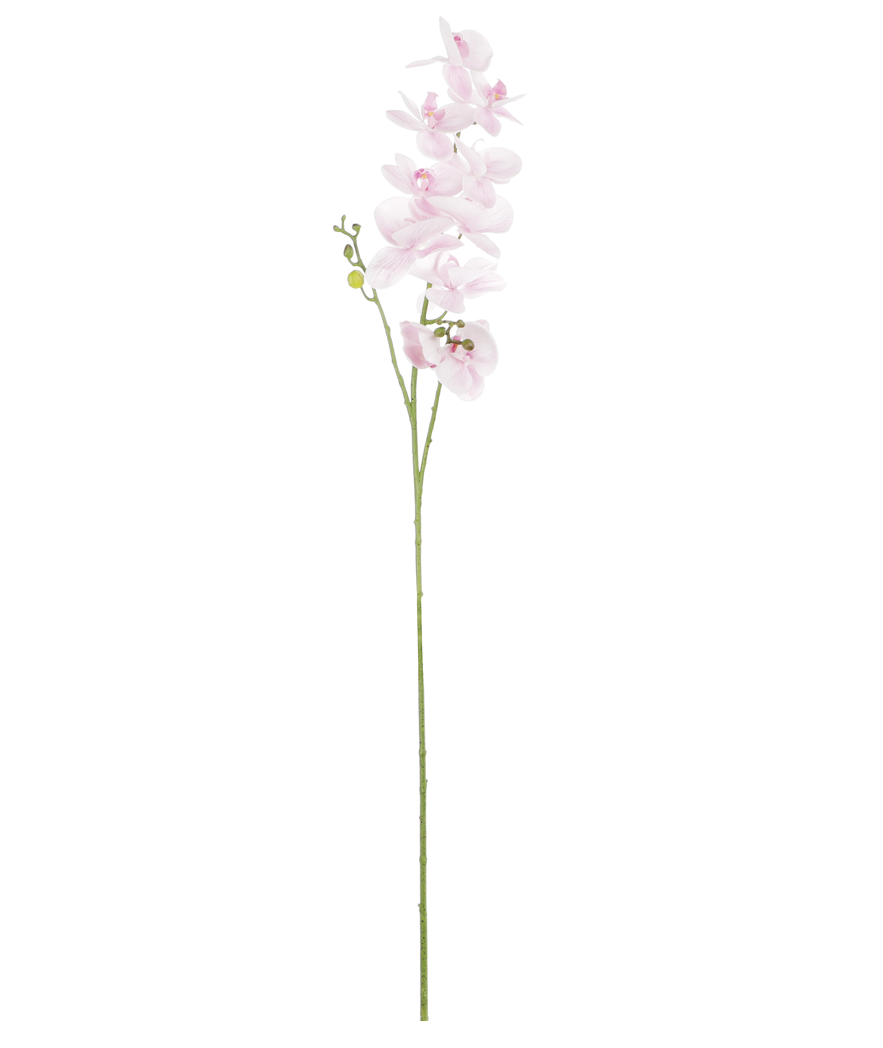 Цветок искусственный Dpi Орхидея бело-розовая 120 см - фото 1