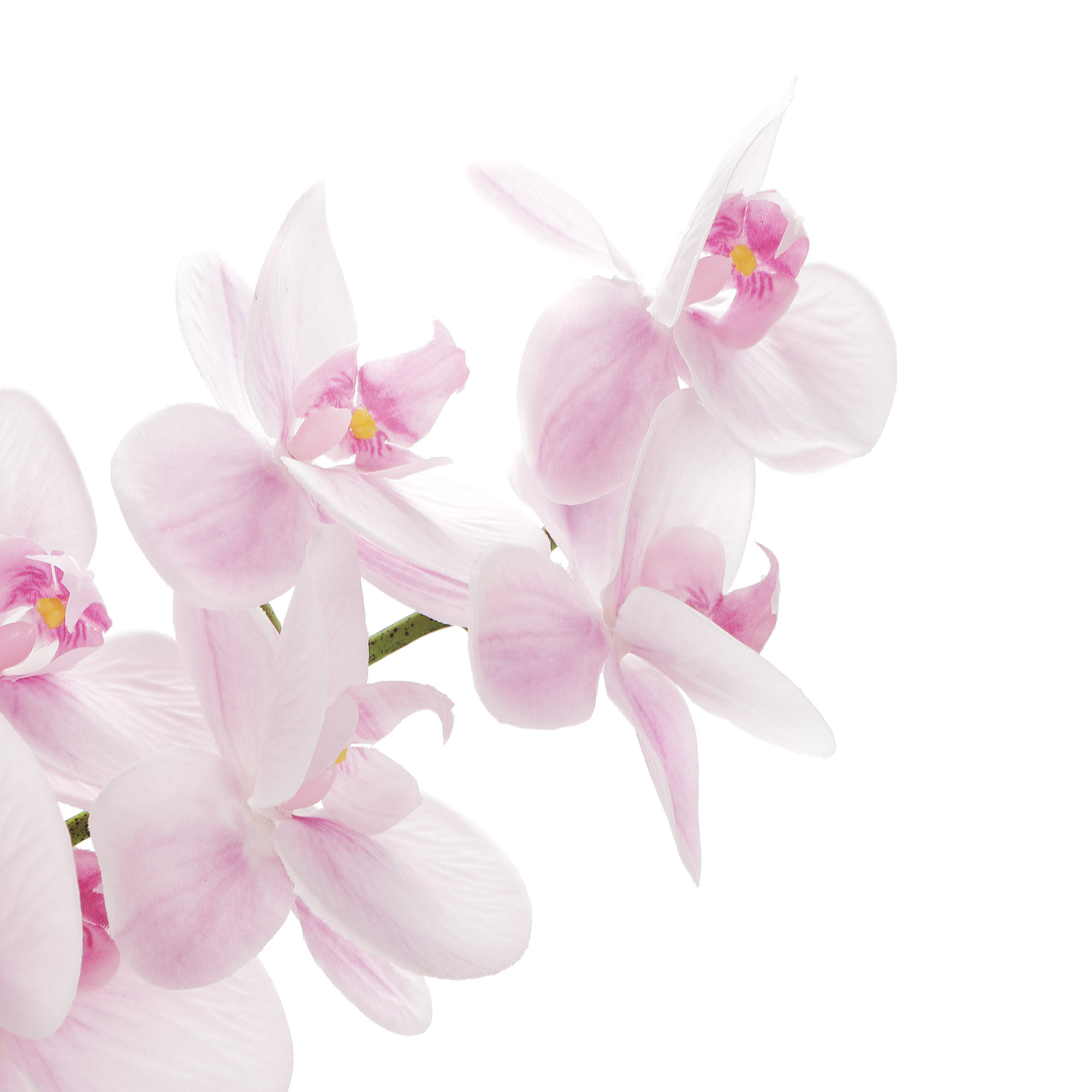 Цветок искусственный Dpi Орхидея бело-розовая 120 см - фото 2