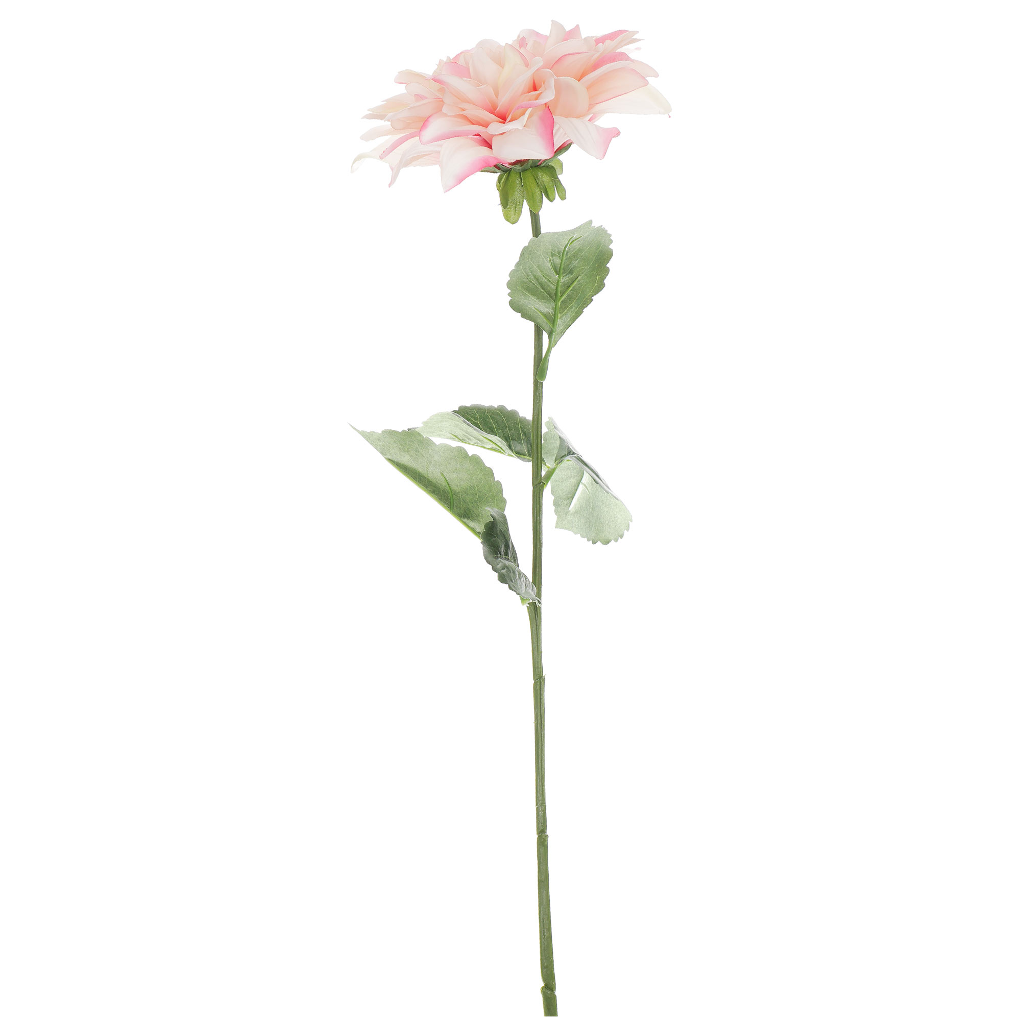 Цветок искусственный Most flowers Георгина кремово-розовая ок искусственный most flowers роза герцогиня кремово персиковая