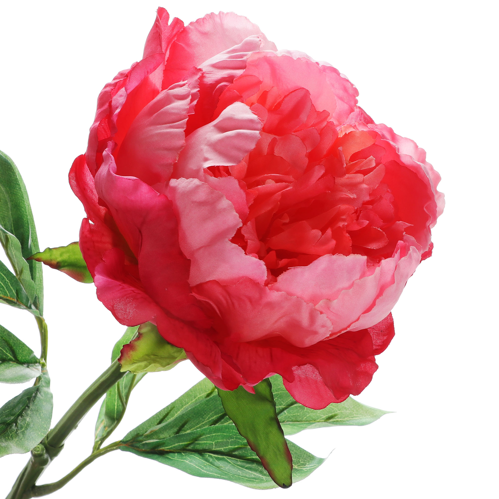 Пионы Цветы Купить Казань