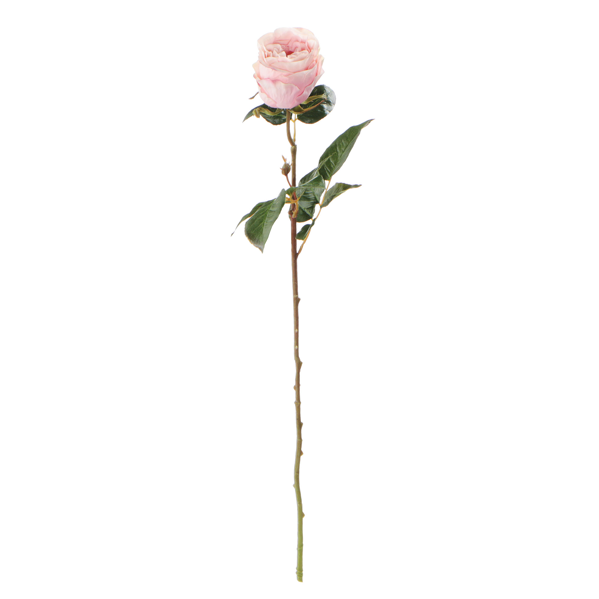 бомбочка для ванны 110 гр бело розовая фруктовая роза сердце body spa Цветок искусственный Most flowers Роза Герцогиня нежно-розовая