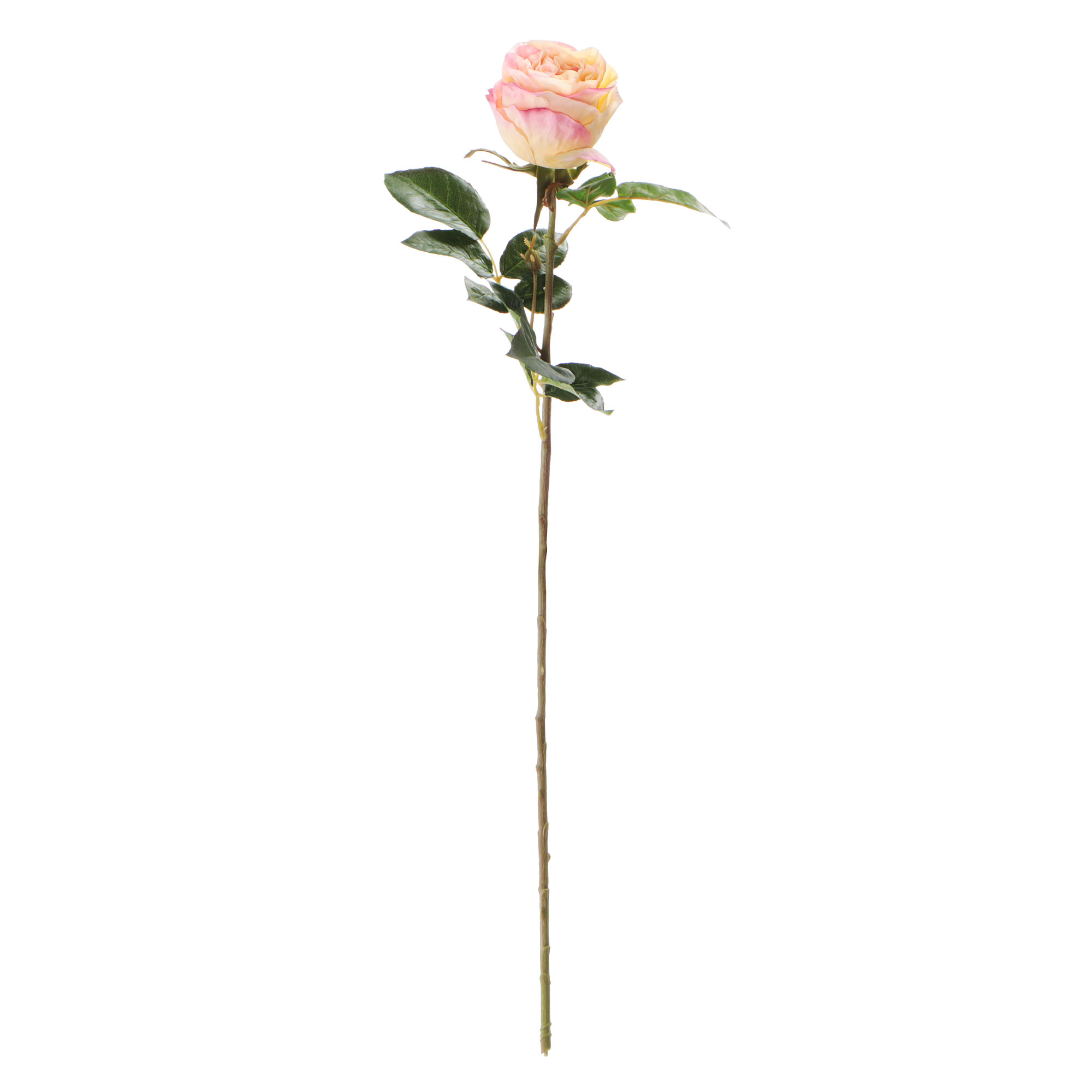 Цветок искусственный Most flowers Роза Герцогиня кремово-персиковая