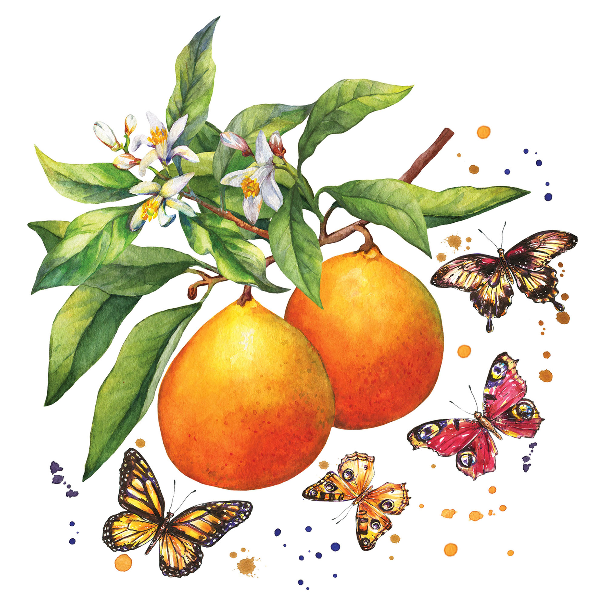 Салфетки Paper+Design Fruity Butterflies 3-сл 33х33 см 20 шт