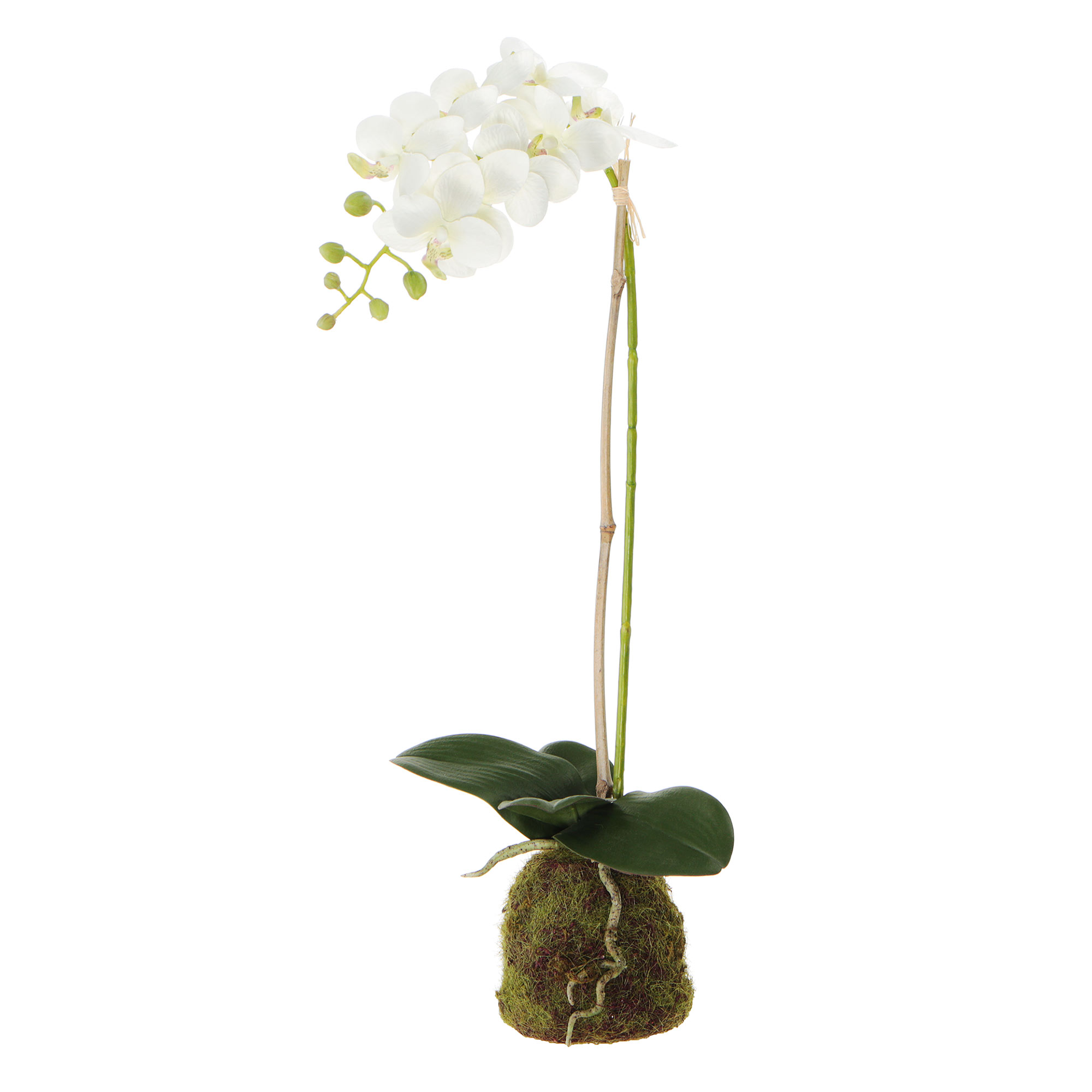 Цветок искусственный Конэко-О Орхидея в декоративном кашпо, 57 см растение искусственное конэко о розовая магнолия в кашпо 57 см