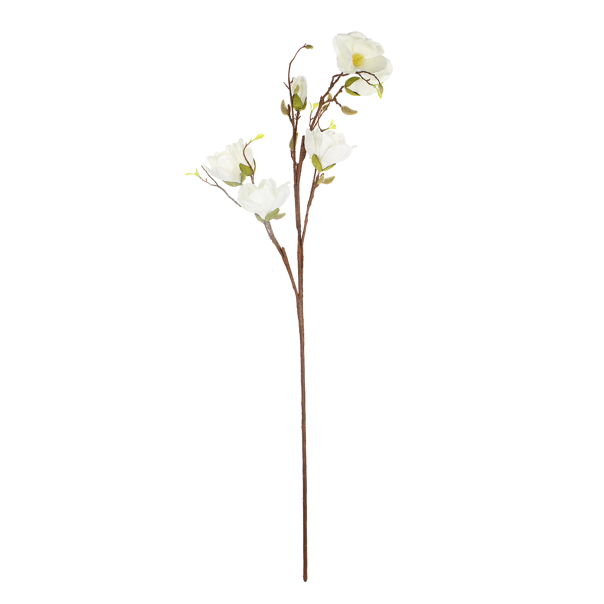 Ветка магнолии белая Конэко-о высота 110 45+65см цветок магнолии зеленого цвета высота 65 см конэко о