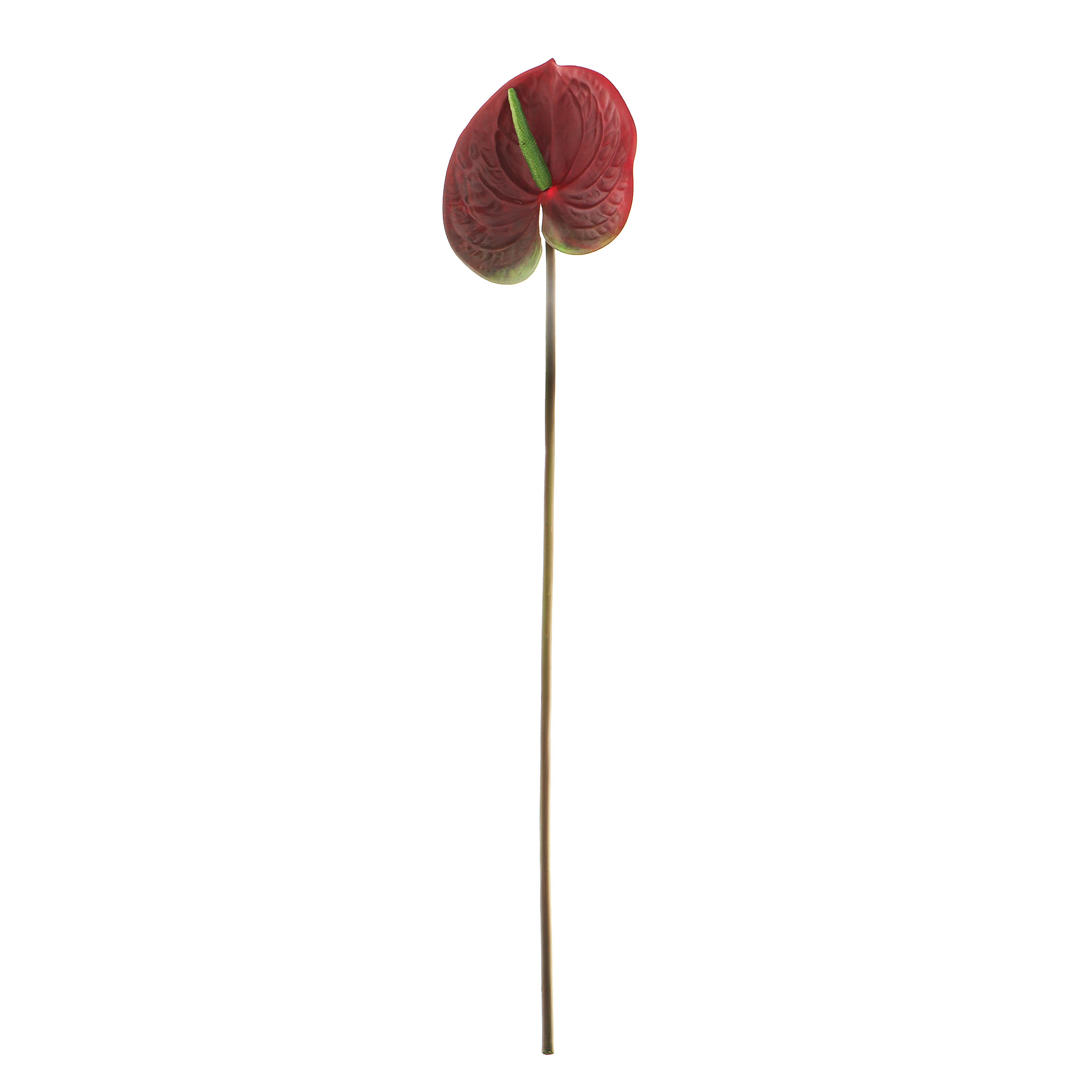 Антуриум Конэко-о бордового цвета высота 70 /15+55/ см цветок магнолии зеленого цвета высота 65 см конэко о