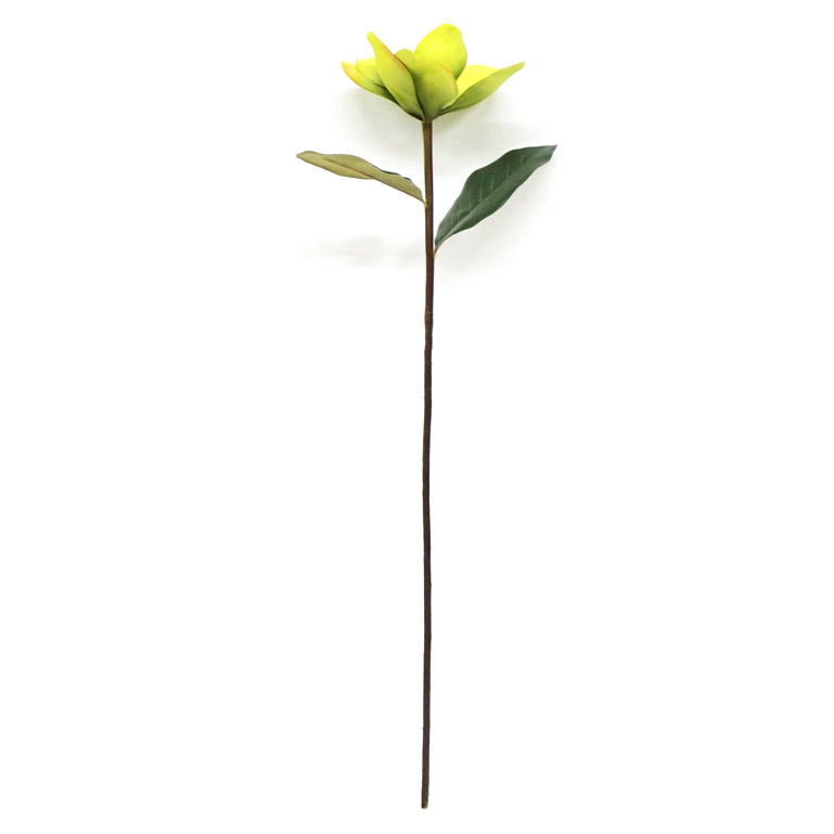 Цветок магнолии зеленого цвета высота 65 см Конэко-О